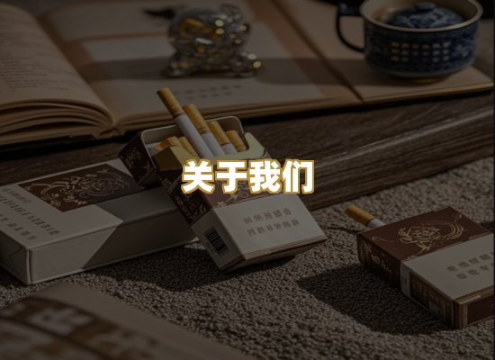 关于我们